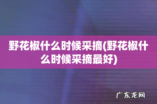 野花椒什么时候采摘最好 野花椒什么时候采摘