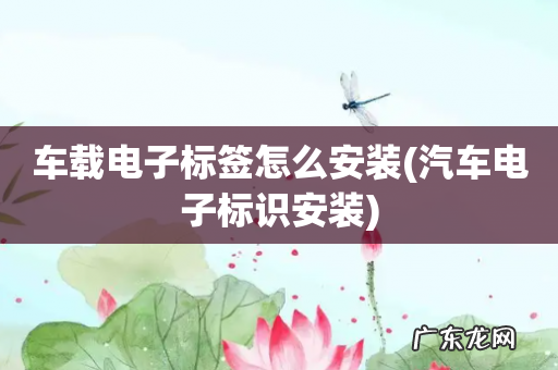 汽车电子标识安装 车载电子标签怎么安装