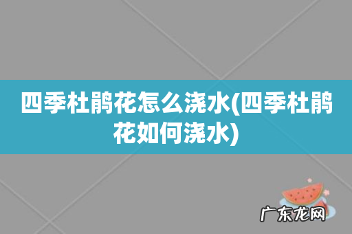 四季杜鹃花如何浇水 四季杜鹃花怎么浇水