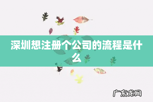 深圳想注册个公司的流程是什么