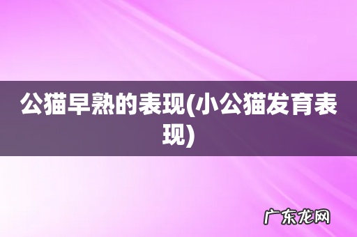 小公猫发育表现 公猫早熟的表现