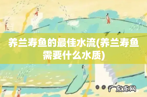 养兰寿鱼需要什么水质 养兰寿鱼的最佳水流