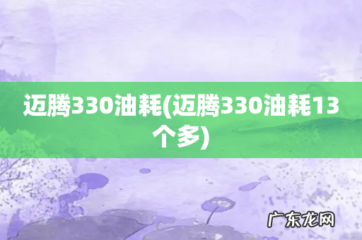 迈腾330油耗13个多 迈腾330油耗