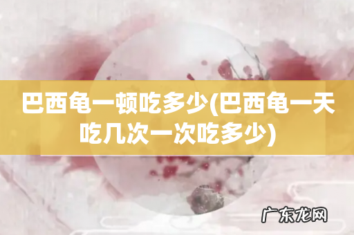 巴西龟一天吃几次一次吃多少 巴西龟一顿吃多少