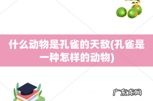 孔雀是一种怎样的动物 什么动物是孔雀的天敌