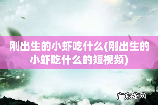 刚出生的小虾吃什么的短视频 刚出生的小虾吃什么