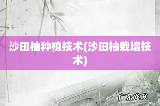 沙田柚栽培技术 沙田柚种植技术