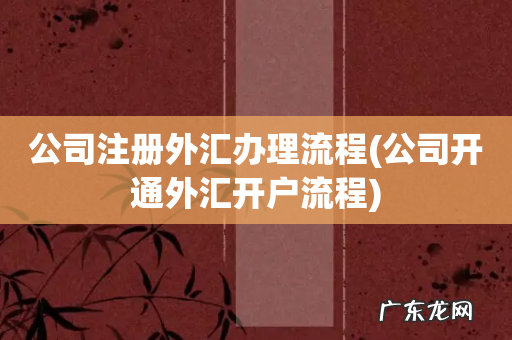 公司开通外汇开户流程 公司注册外汇办理流程