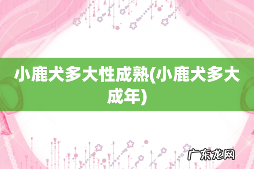 小鹿犬多大成年 小鹿犬多大性成熟