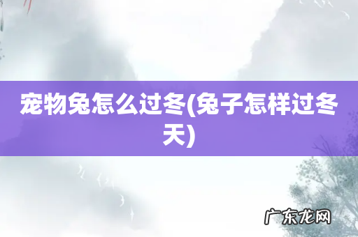 兔子怎样过冬天 宠物兔怎么过冬