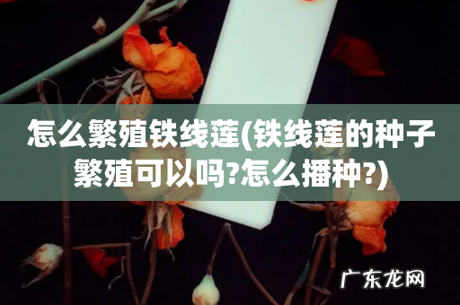 铁线莲的种子繁殖可以吗?怎么播种? 怎么繁殖铁线莲