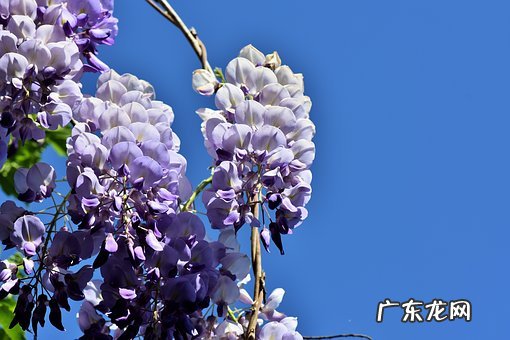 阴囊湿疹怎么判断 阴囊湿疹症状有哪些