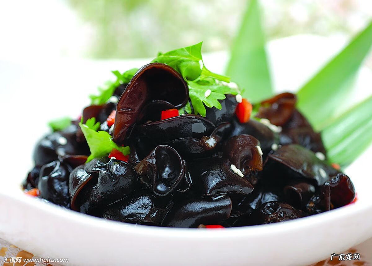 木耳的营养价值表 黑木耳的营养和价值