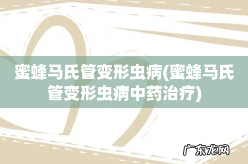 蜜蜂马氏管变形虫病中药治疗 蜜蜂马氏管变形虫病