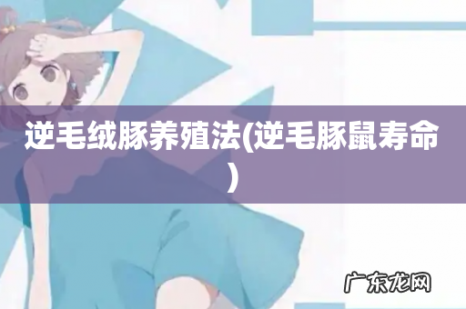 逆毛豚鼠寿命 逆毛绒豚养殖法