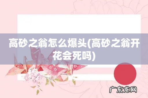 高砂之翁开花会死吗 高砂之翁怎么爆头