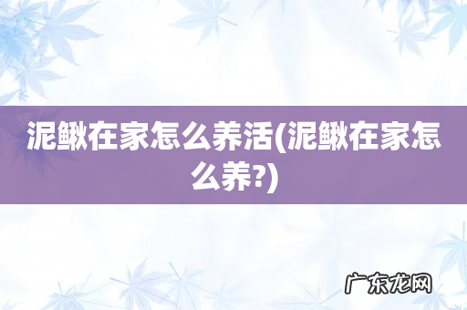泥鳅在家怎么养? 泥鳅在家怎么养活