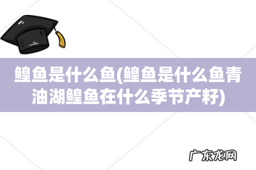 鳇鱼是什么鱼青油湖鳇鱼在什么季节产籽 鳇鱼是什么鱼