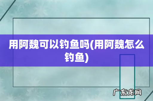 用阿魏怎么钓鱼 用阿魏可以钓鱼吗