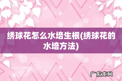 绣球花的水培方法 绣球花怎么水培生根