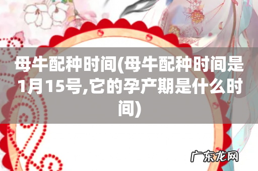 母牛配种时间是1月15号,它的孕产期是什么时间 母牛配种时间