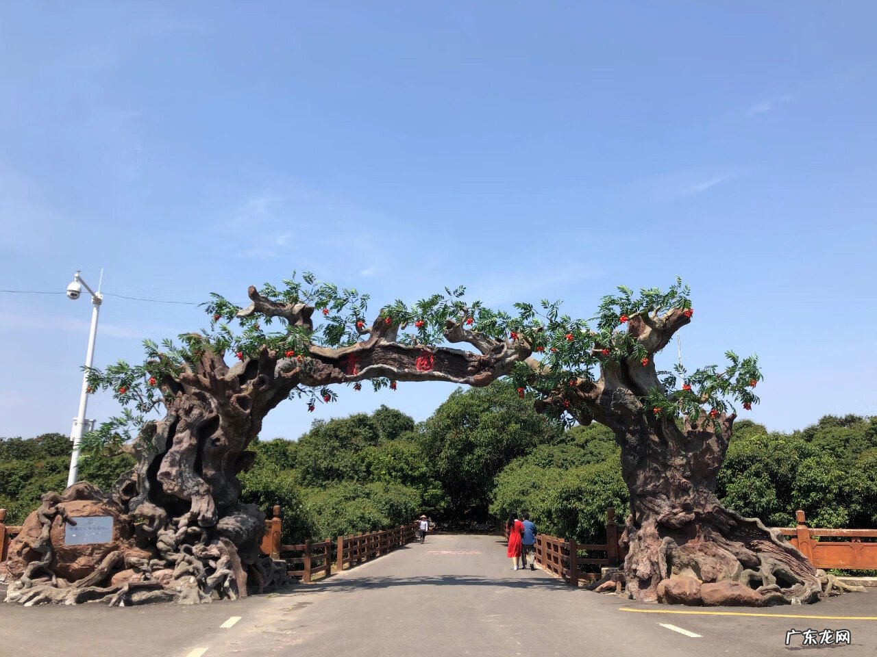 五马归槽 风水中是五马归糟还是五马归槽