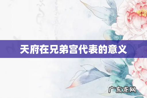 天府在兄弟宫代表的意义