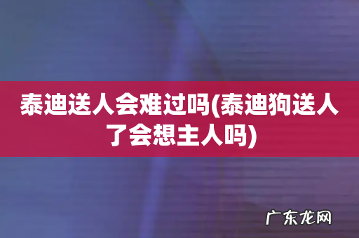 泰迪狗送人了会想主人吗 泰迪送人会难过吗