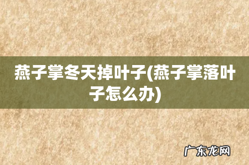 燕子掌落叶子怎么办 燕子掌冬天掉叶子