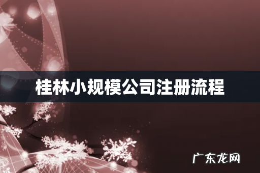 桂林小规模公司注册流程