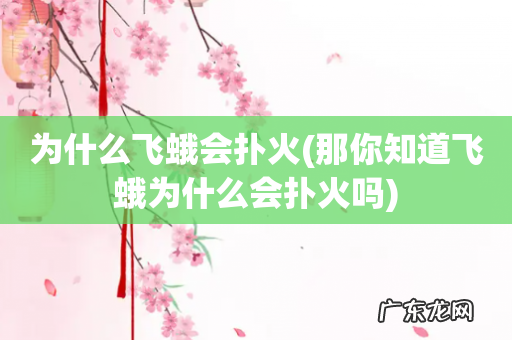那你知道飞蛾为什么会扑火吗 为什么飞蛾会扑火