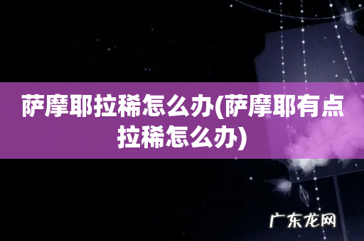 萨摩耶有点拉稀怎么办 萨摩耶拉稀怎么办