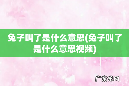 兔子叫了是什么意思视频 兔子叫了是什么意思