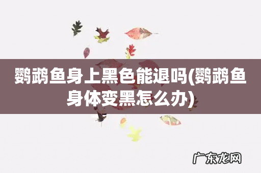 鹦鹉鱼身体变黑怎么办 鹦鹉鱼身上黑色能退吗