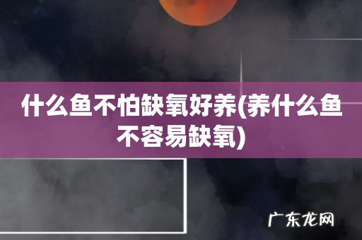 养什么鱼不容易缺氧 什么鱼不怕缺氧好养