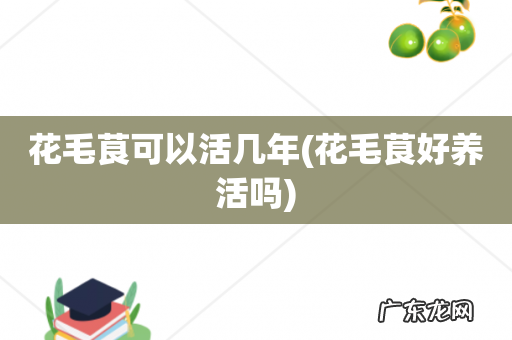 花毛茛好养活吗 花毛茛可以活几年