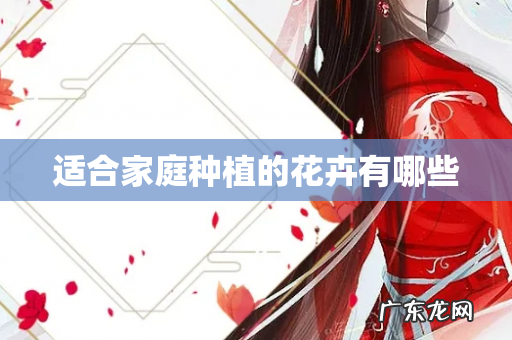 适合家庭种植的花卉有哪些