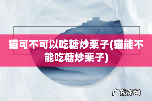 猫能不能吃糖炒栗子 猫可不可以吃糖炒栗子