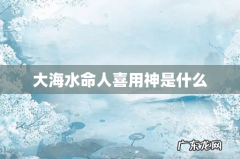 大海水命人喜用神是什么