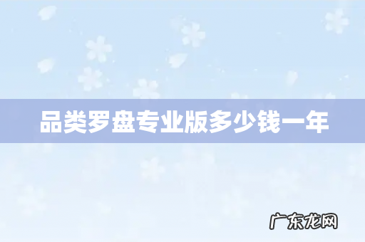 品类罗盘专业版多少钱一年