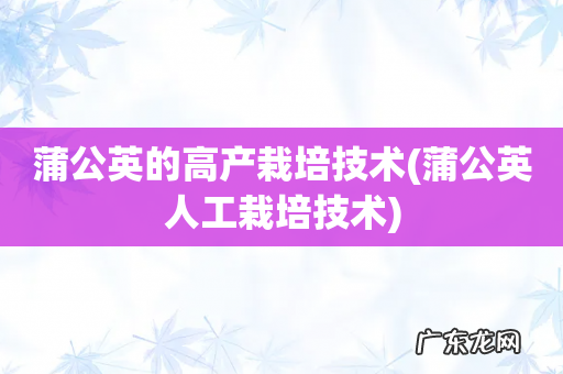 蒲公英人工栽培技术 蒲公英的高产栽培技术
