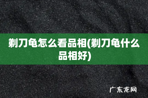 剃刀龟什么品相好 剃刀龟怎么看品相