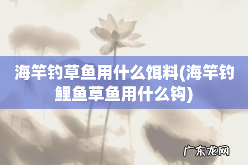 海竿钓鲤鱼草鱼用什么钩 海竿钓草鱼用什么饵料