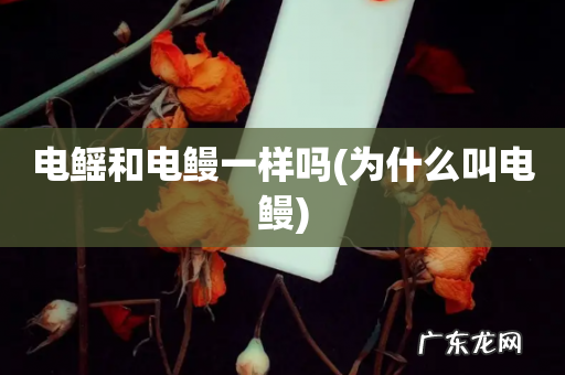 为什么叫电鳗 电鳐和电鳗一样吗