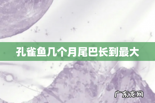 孔雀鱼几个月尾巴长到最大