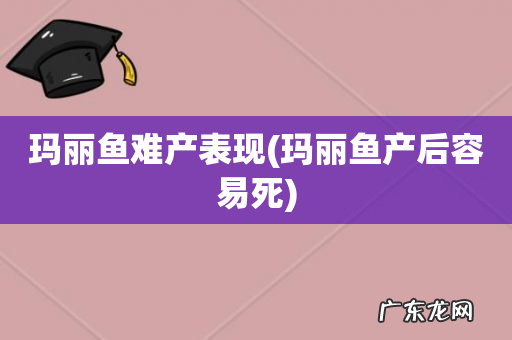 玛丽鱼产后容易死 玛丽鱼难产表现