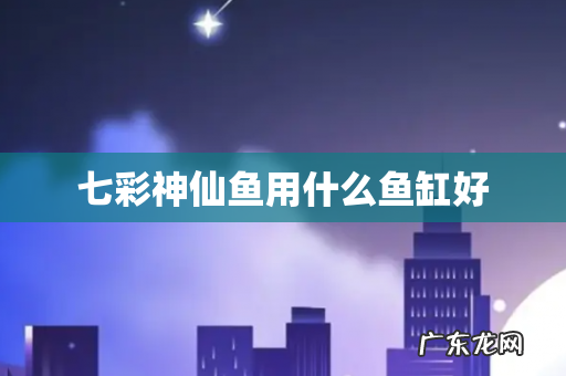 七彩神仙鱼用什么鱼缸好