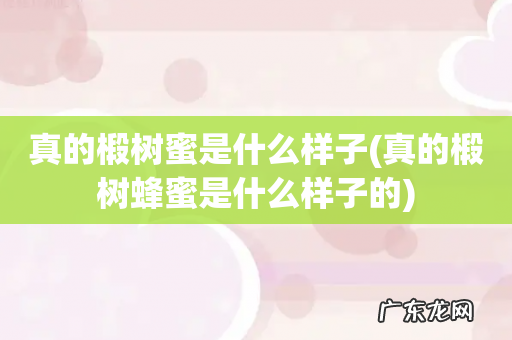 真的椴树蜂蜜是什么样子的 真的椴树蜜是什么样子