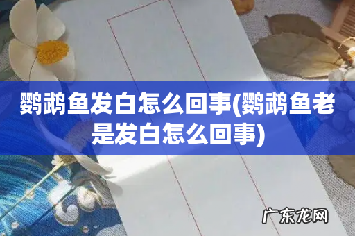 鹦鹉鱼老是发白怎么回事 鹦鹉鱼发白怎么回事