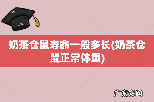 奶茶仓鼠正常体重 奶茶仓鼠寿命一般多长